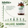 NMN 1000mg Supplement - Image 3